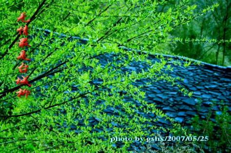 金陵圖江雨霏霏|唐·韦庄 金陵图